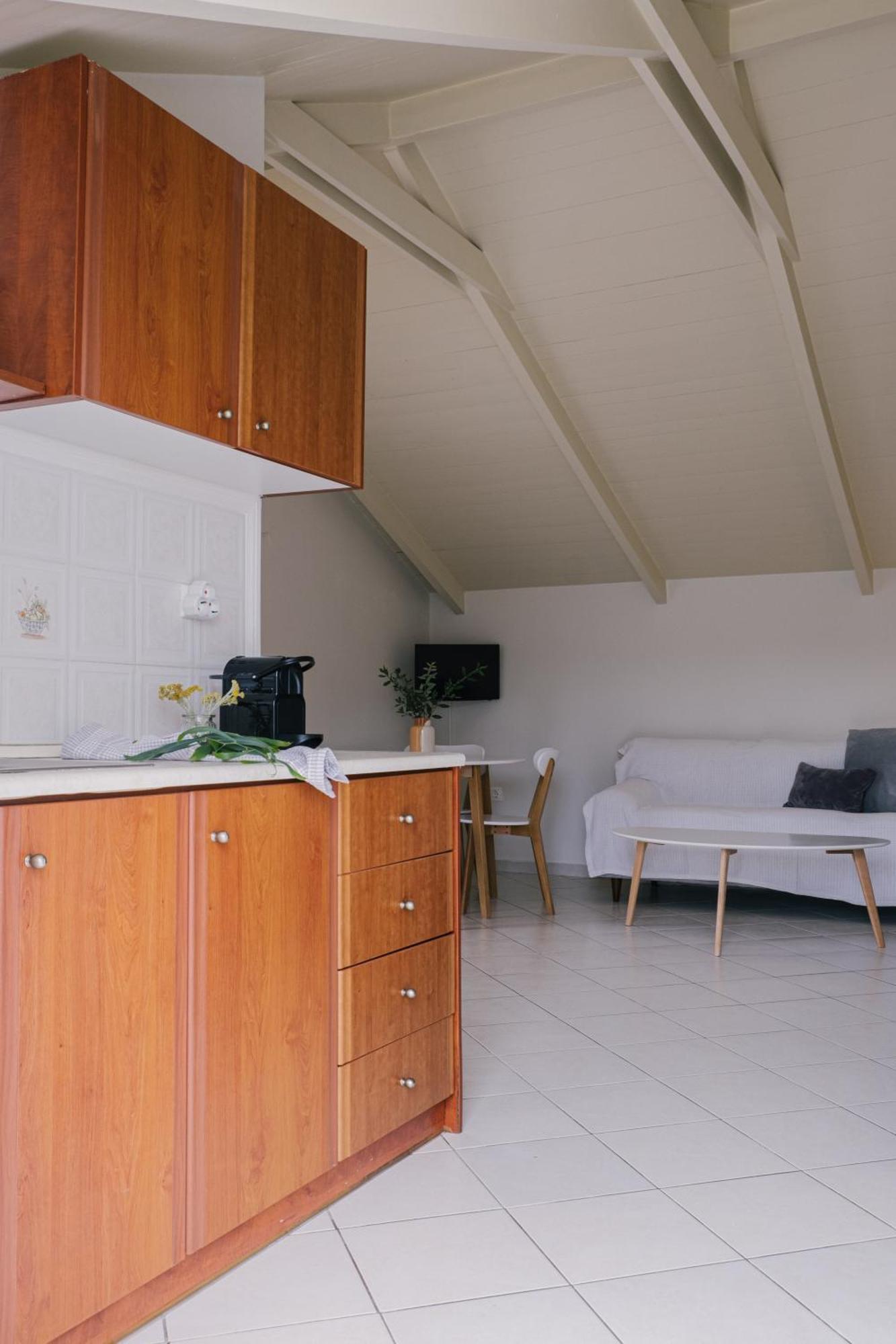 Blue House Apartments วาซิลิคอส ห้อง รูปภาพ
